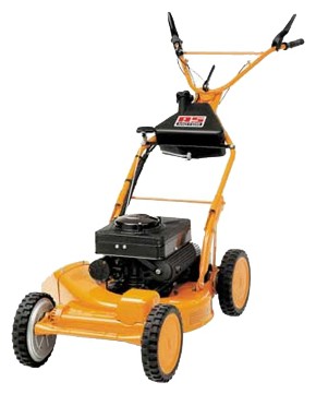 trimmer (self-propelled lawn mower) AS-Motor AS 53 B5 Photo, Characteristics