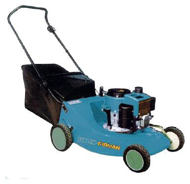 trimmer (lawn mower) Etalon FLM450 Photo, Characteristics