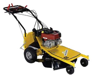 trimmer (self-propelled lawn mower) Eurosystems Professionale 63 Photo, Characteristics