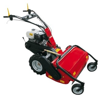 trimmer (self-propelled lawn mower) Solo 526-75 Photo, Characteristics